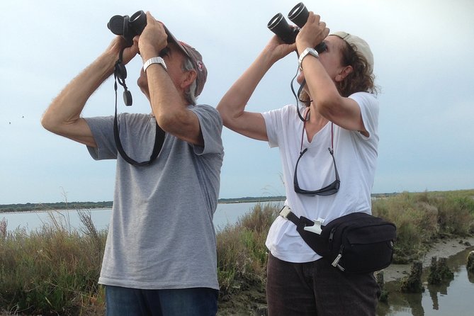 Birdwatching by Boat in a Small Group in the Pialassa Baiona - Overview and Logistics