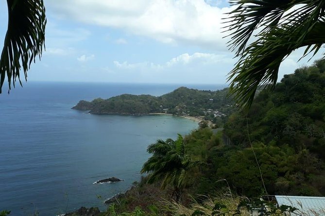 Birdwatching, Waterfall, Rainforest and Island Nature Tours - Tour Overview