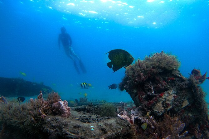 Blue Heron Bridge Guided Snorkel Tour - Whats Included
