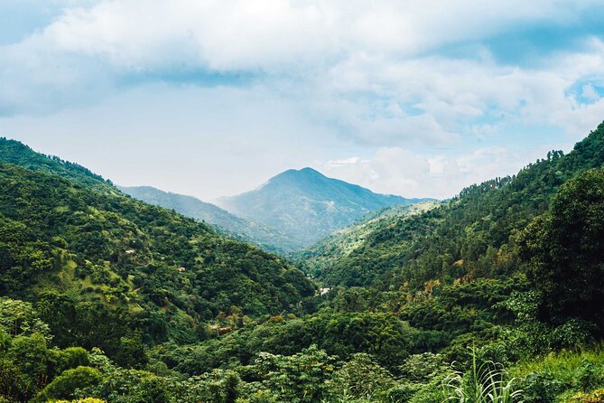 Blue Mountain Bicycle Tour - Tour Experience