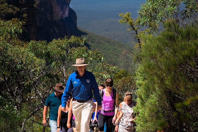 Blue Mountains Wildlife Full-Day Sights and Hiking From Sydney - Morning Tea at Calmsley Hill Farm