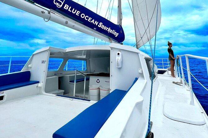 [Blue Ocean Snorkeling] Waikiki Turtle Canyon Snorkeling 6 in 1 - Pickup Information