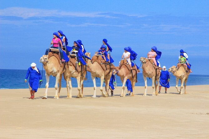 Boat Ride to the Arch and Beach Camel Ride in Cabo San Lucas Shared Tour - Tour Overview and Itinerary