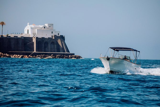 Boat Tour of the Island of Ischia With Goiter 7.50 Meters - Overview and Inclusions