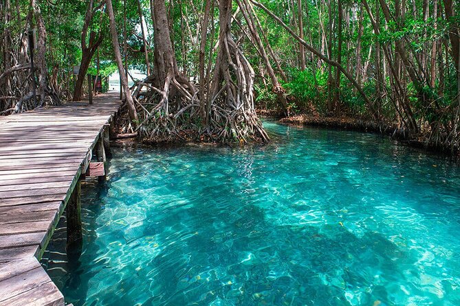Boat Tour to Celestun From Merida - Weather Requirements and Minimum Number of Travelers