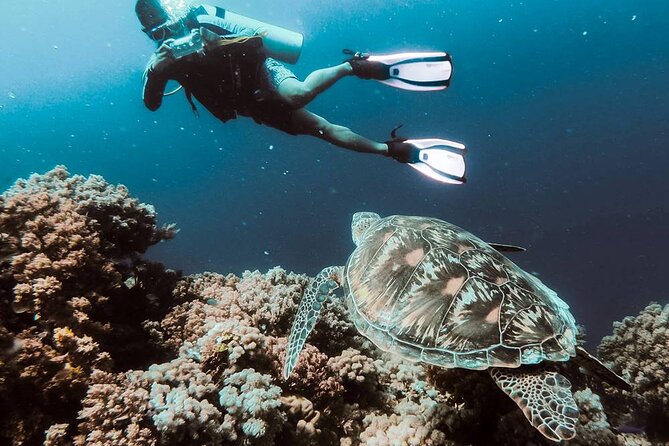 Bodrum Scuba Diving Tour With Free Hotel Transfer By Locals - Tour Confirmation and Requirements