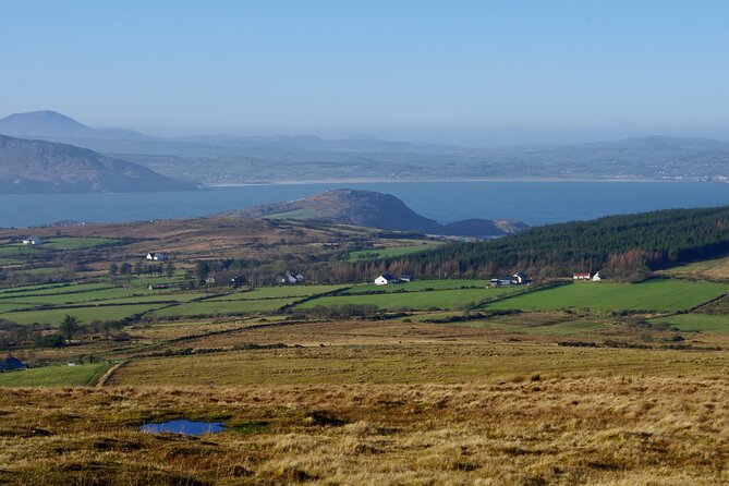 Bog Safari Hike - Overview and Details