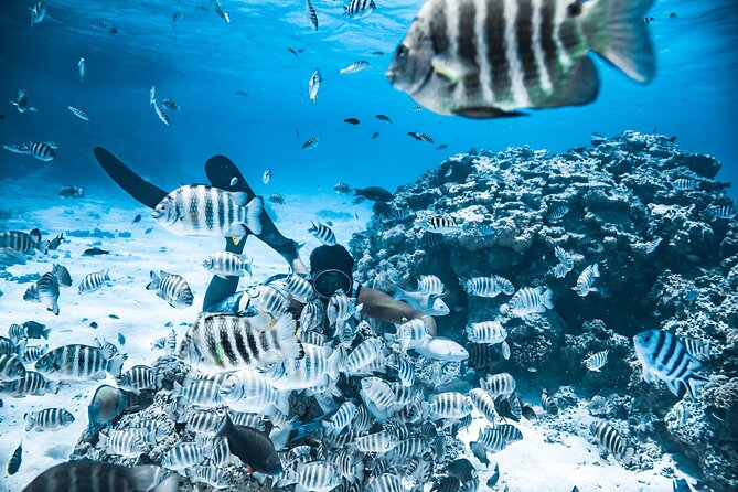 Bora Bora Combo Tour: Lagoon Cruise and 4WD Tour Including Snorkeling - Positive Guest Experiences