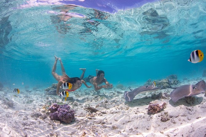 Bora Bora Eco Snorkel Cruise Including Snorkeling With Sharks and Stingrays - Snorkeling Tour Details and Inclusions
