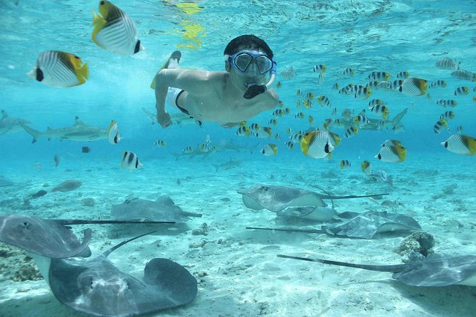 Bora Bora Jet Ski Tour, & Eco Shark / Ray Snorkel Cruise - Tour Details and Pricing