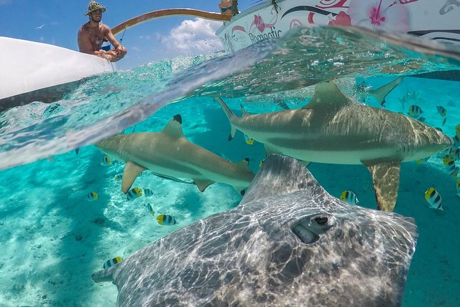 Bora Bora Snorkel Cruise by Polynesian Outrigger Canoe With BBQ Island Lunch - Tour Overview and Details