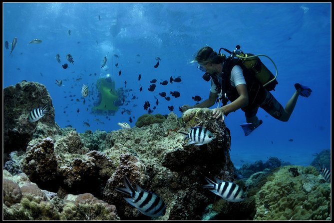 Bora Bora Underwater Scooter - Overview of Bora Boras Underwater Scooter Tour