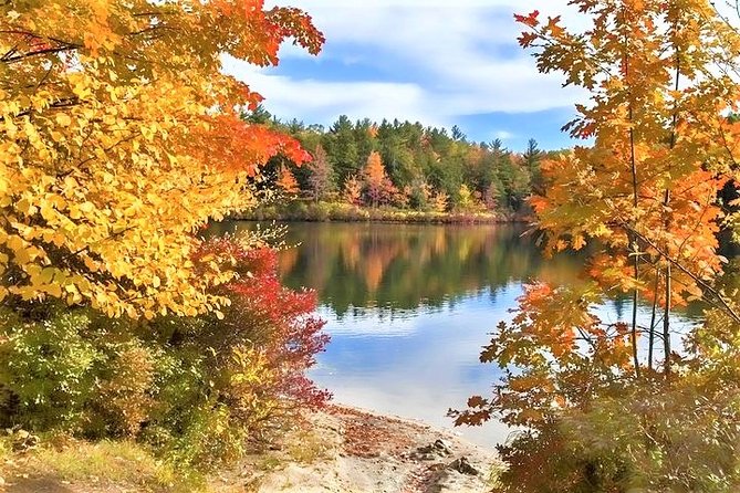 Boston to New Hampshire Fall Foliage White Mountains Day Trip - Tour Details