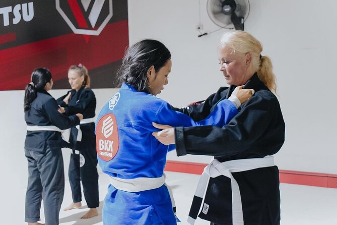 Brazilian Jiu-Jitsu Class Shared Experience - Class Overview