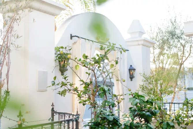 Breakfast and Lunch Food Tasting Experience in Santa Barbara - Immerse in the Local Food Scene