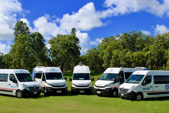 Brisbane Arrival Transfer Shuttle From Brisbane Airport to Hotel - Pricing and Value