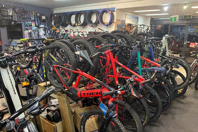 Brisbane Electric Mountain Bike Experience Tour - Public Transportation and Recommendations