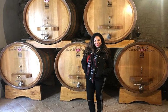Brunello and Montepulciano Wine Tour From Cortona - Wine Tour Highlights
