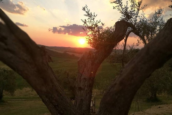 Brunello Wine Tour and Val DOrcia Landscape - Tour Overview and Experience
