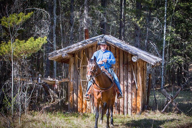 Buffalo Loop 1-Hour Horseback Trail Ride in Kananaskis - Price and Booking Information