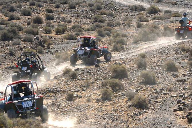 Buggy Safari In Costa Calma - Tour Details