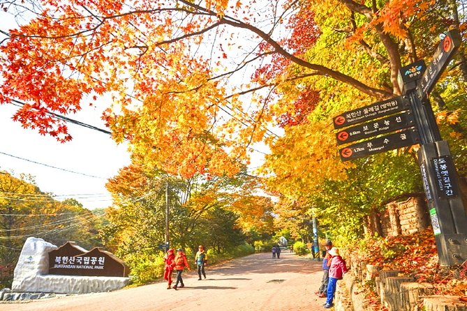 Bukhansan Mountain Hiking Private Tour Including Jjimjilbang & Spa,Korean BBQ - Tour Highlights