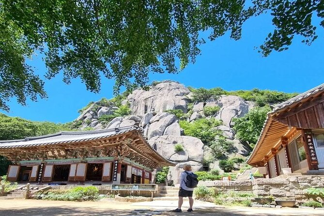 Busan Private Hiking Tour : Panoramic Views Awaits - Busan Private Hiking Tour Overview