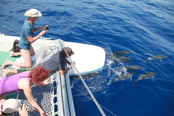 Cabo Girão SkywalkVineyardsWine Tasting in 4x4 Tour Dolphin Watching - Tour Overview
