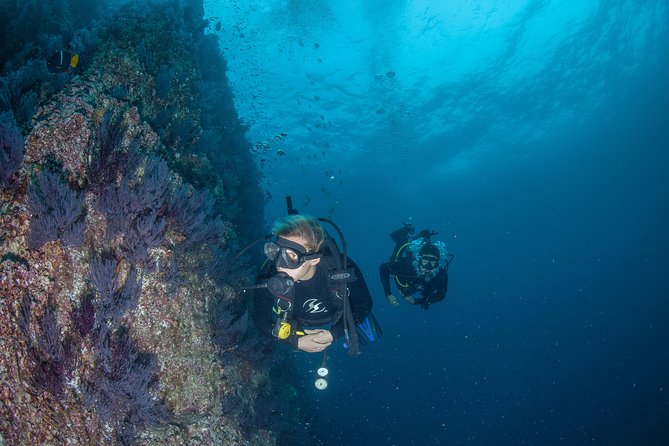 Cabo San Lucas 2 Tank Customized Dive Certified Only - Dive Details