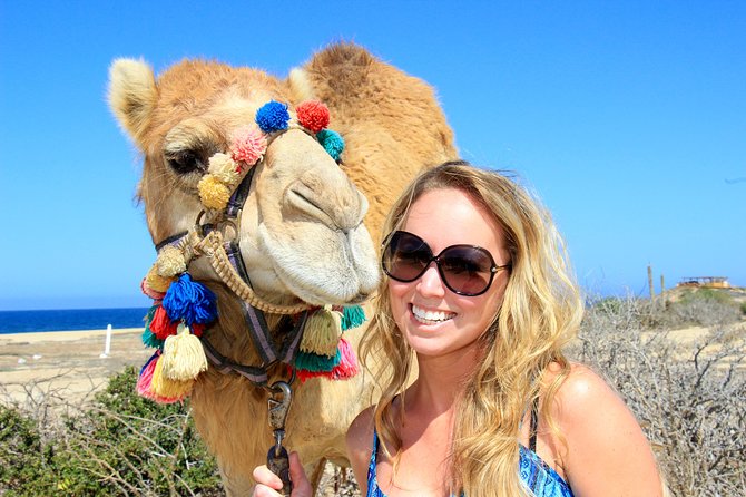 Cabo San Lucas Baja Desert Camel Ride - Overview and Booking Information
