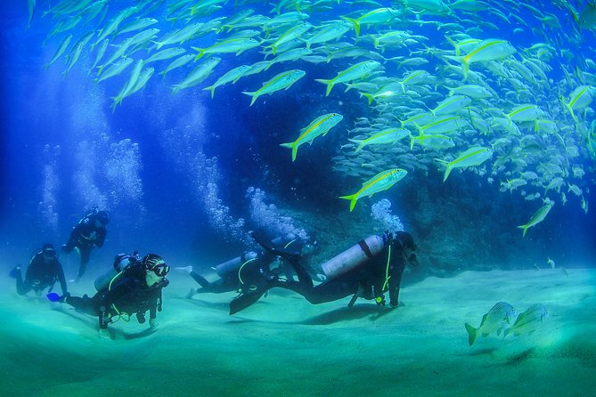 Cabo San Lucas Beginner Scuba Diving Experience - Dive Center Accreditation