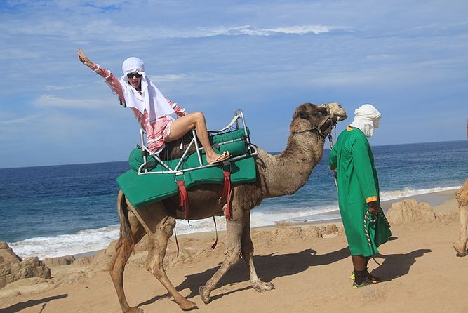 Cabo San Lucas Camel Ride and Encounter on Beach and Desert - Overview and Inclusions