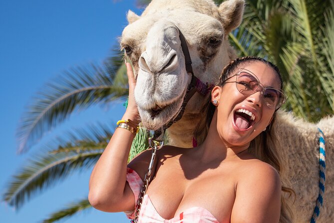 Cabo San Lucas: Camel Ride on the Beach - Overview and Inclusions
