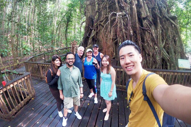 Cairns 4WD Rainforest Waterfall Tour Including a GBR Island Tour - Tour Overview and Details