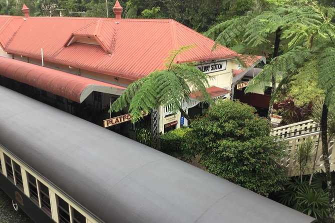 Cairns City Tour - Overview and History