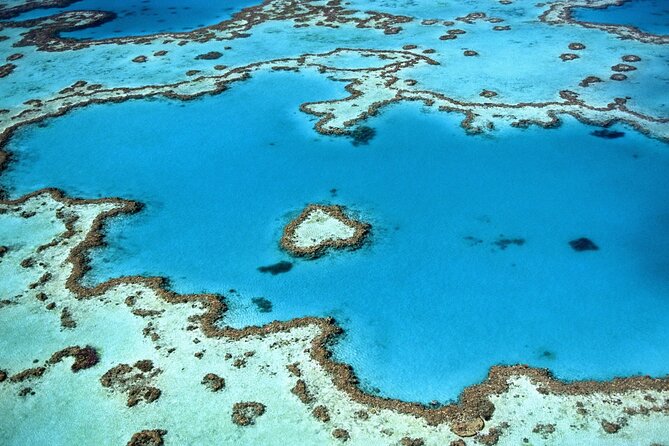 Cairns, Great Barrier Reef & Rainforest 7 Day Tour. - Tour Highlights