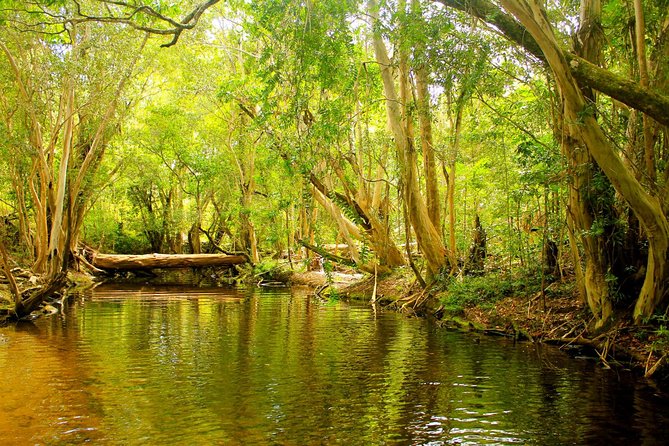 Cairns Private Barron Gorge National Park Tour  - Cairns & the Tropical North - Pricing and Guarantee