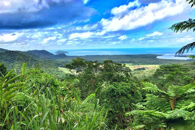 Cairns to Daintree Rainforest Park Private Day Tour With Lunch  - Cairns & the Tropical North - Duration and Pickup Information