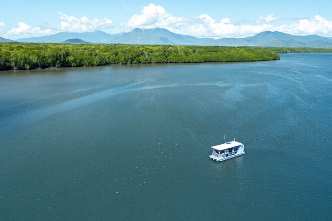 Cairns Trinity Inlet Sightseeing Safari - Overview of the Experience