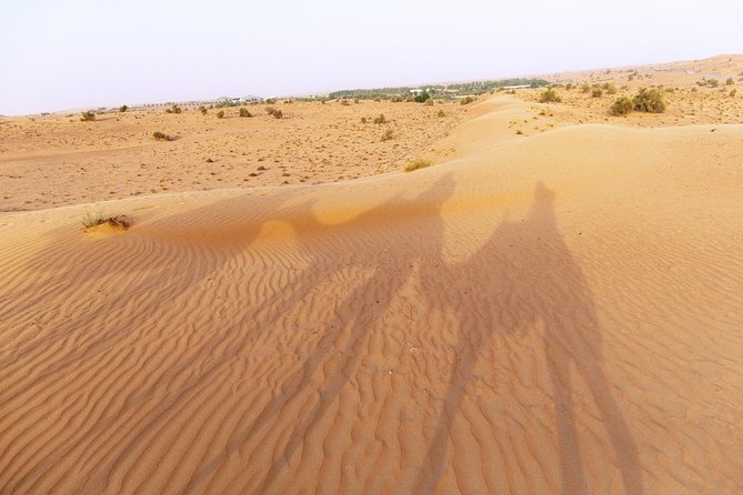 Camel Desert Safari With Traditional Dinner & Heritage Activities From Dubai - Tour Overview and Highlights