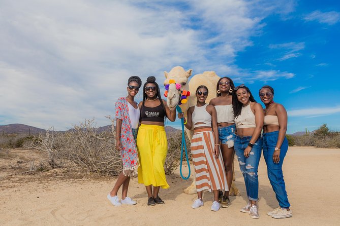 Camel Outback Adventure With Mexican Buffet and Tequila Tasting - Overview and Activities Included