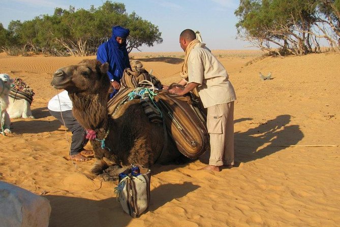 Camel Ride and 1 Night in the Desert - Overview and Itinerary