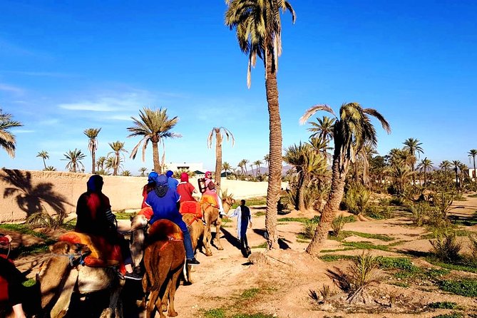 Camel Ride and Spa Treatment in Marrakech - Overview and Inclusions