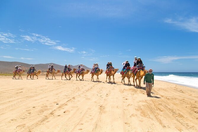 Camel Ride & ATV Combo in Migriño, Mexico - Tour Overview and Details
