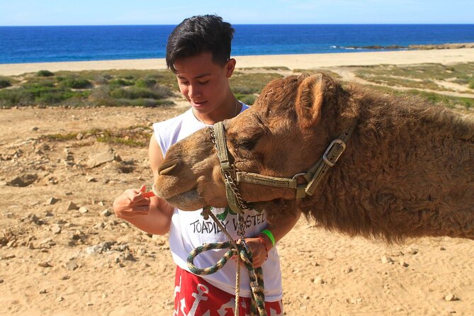Camel Ride & Encounter at Los Cabos - Beach Camel Ride