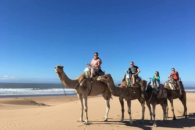 Camel Ride on the Beach of Essaouria - Pickup Details