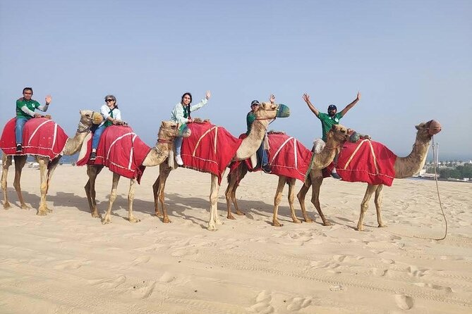 Camel Trekking on the Dunes With Sunset - The Majestic Sahara Desert