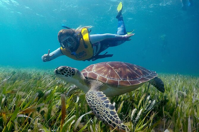 Cancun Snorkeling Adventure: Underwater Museum, Reef & Shipwreck - Tour Inclusions