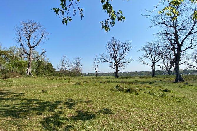 Canoeing and Nature Walk in Chitwan National Park - Activity Overview and Details