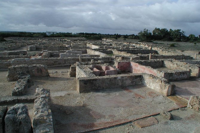 Cap Bon Guided Day Tour From Tunis - Tour Highlights and Itinerary